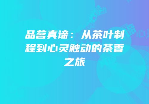 品茗真谛：从茶叶制程到心灵触动的茶香之旅