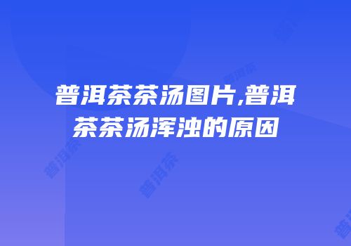 普洱茶茶汤图片,普洱茶茶汤浑浊的原因