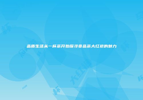 品质生活从一杯茶开始探寻贡品茶大红袍的魅力