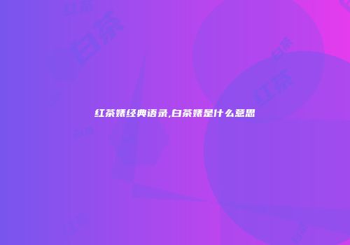 红茶婊经典语录,白茶婊是什么意思