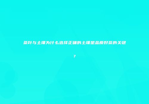 茶叶与土壤为什么选择正确的土壤是品质好茶的关键?