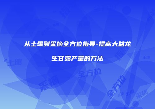 从土壤到采摘全方位指导-提高大益龙生甘露产量的方法