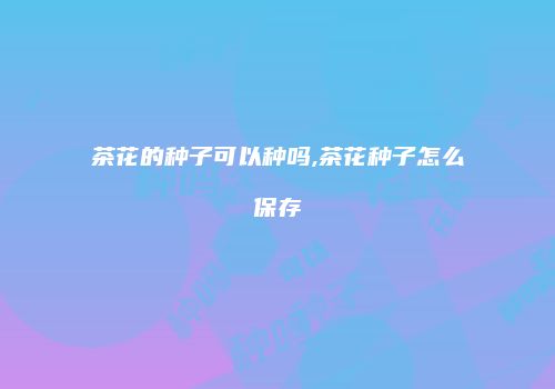 茶花的种子可以种吗,茶花种子怎么保存