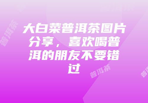 大白菜普洱茶图片分享，喜欢喝普洱的朋友不要错过