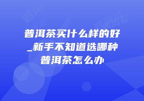 普洱茶买什么样的好_新手不知道选哪种普洱茶怎么办