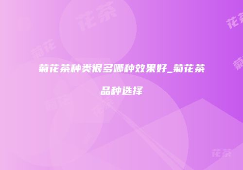 菊花茶种类很多哪种效果好_菊花茶品种选择