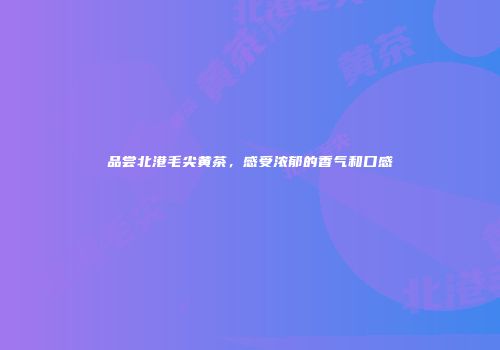 品尝北港毛尖黄茶，感受浓郁的香气和口感