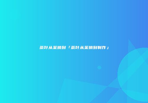 茶叶从采摘到「茶叶从采摘到制作」