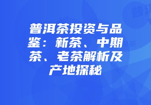 普洱茶投资与品鉴：新茶、中期茶、老茶解析及产地探秘