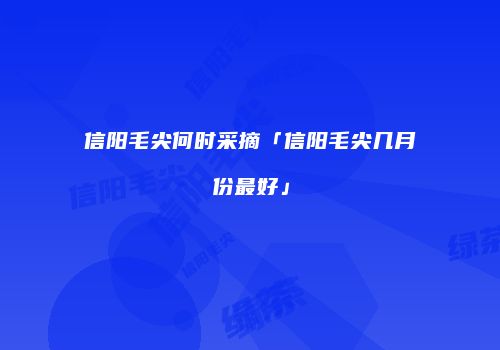 信阳毛尖何时采摘「信阳毛尖几月份最好」