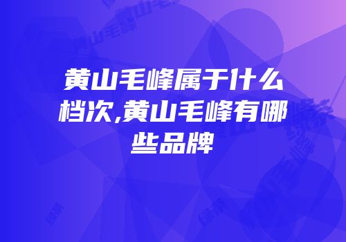 黄山毛峰属于什么档次,黄山毛峰有哪些品牌