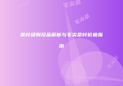 茶叶级别珍品解析与毛尖茶叶价格指南