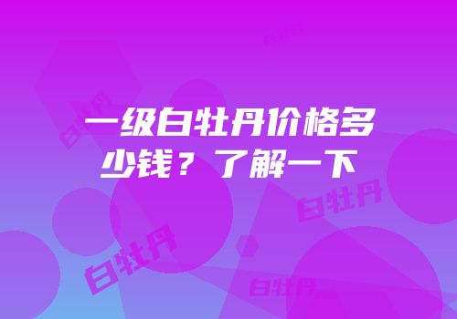 一级白牡丹价格多少钱？了解一下