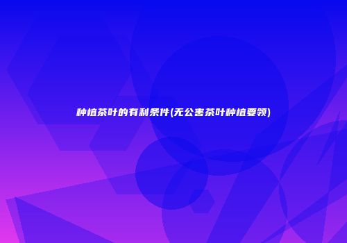 种植茶叶的有利条件(无公害茶叶种植要领)