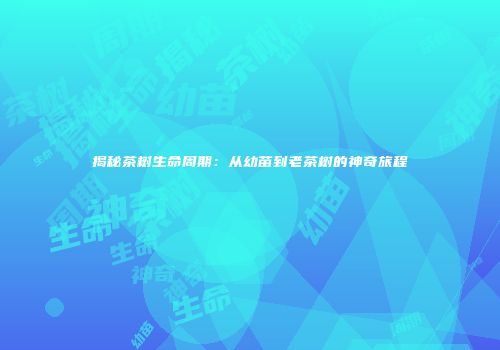揭秘茶树生命周期：从幼苗到老茶树的神奇旅程
