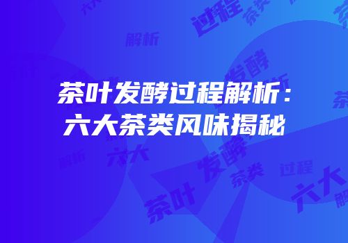 茶叶发酵过程解析：六大茶类风味揭秘