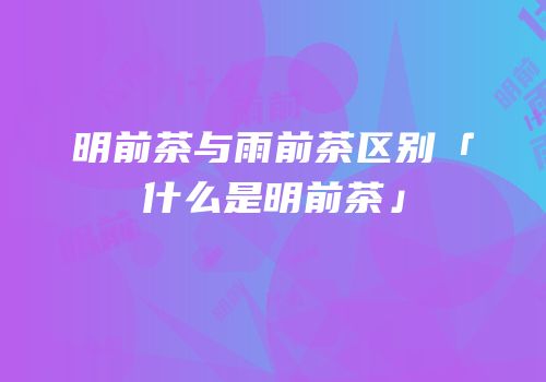 明前茶与雨前茶区别「什么是明前茶」