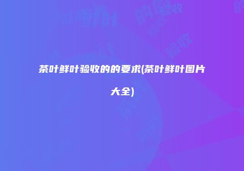 茶叶鲜叶验收的的要求(茶叶鲜叶图片大全)