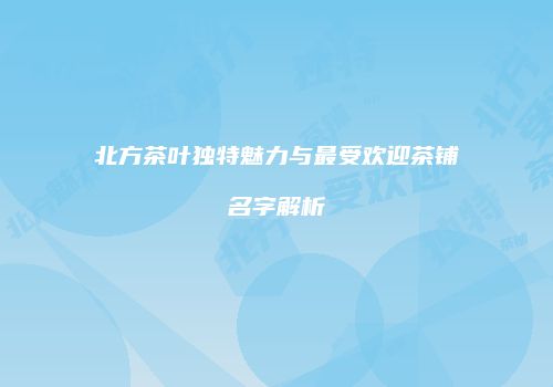 北方茶叶独特魅力与最受欢迎茶铺名字解析