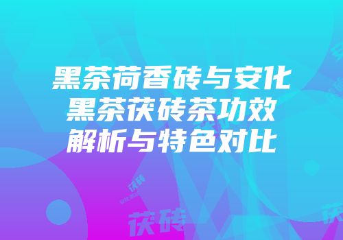 黑茶荷香砖与安化黑茶茯砖茶功效解析与特色对比