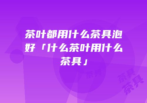 茶叶都用什么茶具泡好「什么茶叶用什么茶具」