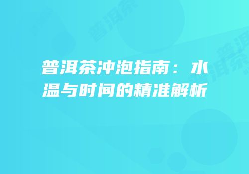普洱茶冲泡指南：水温与时间的精准解析