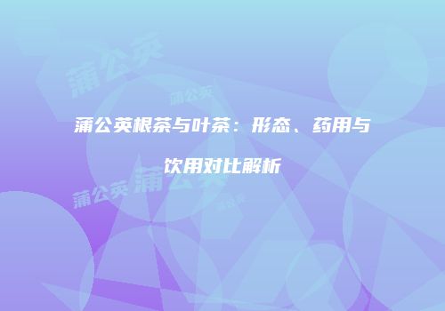 蒲公英根茶与叶茶：形态、药用与饮用对比解析
