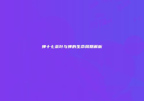 蝉十七茶叶与蝉的生命周期解析
