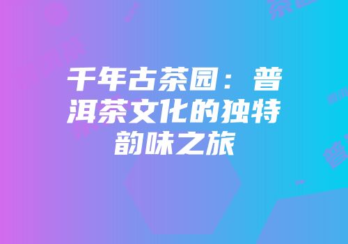 千年古茶园：普洱茶文化的独特韵味之旅