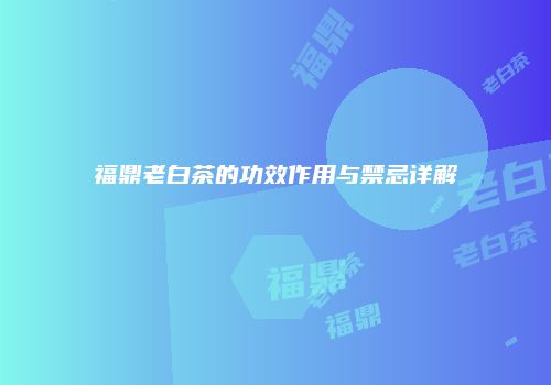 福鼎老白茶的功效作用与禁忌详解