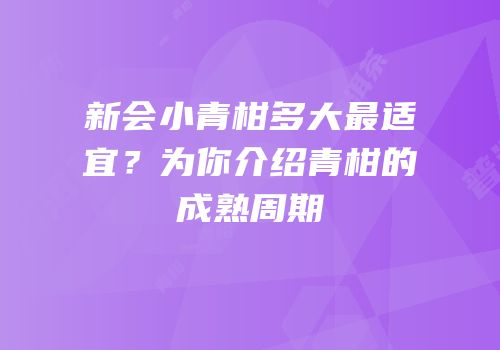 新会小青柑多大最适宜？为你介绍青柑的成熟周期