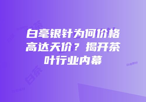 白毫银针为何价格高达天价？揭开茶叶行业内幕