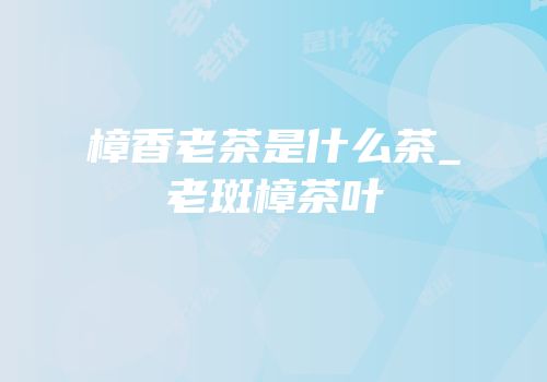 樟香老茶是什么茶_老斑樟茶叶
