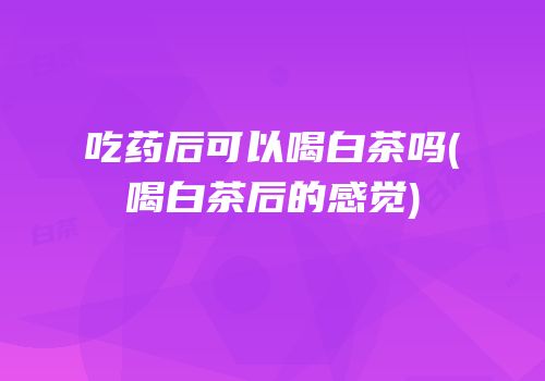 吃药后可以喝白茶吗(喝白茶后的感觉)