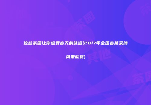这些茶园让你感受春天的味道(2017年全国春茶采摘风景欣赏)