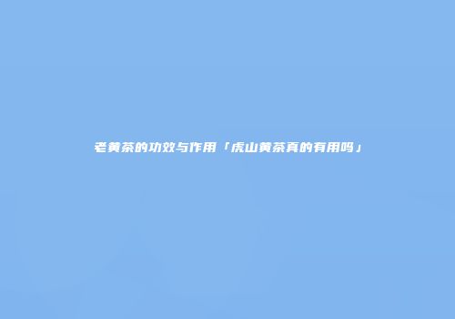 老黄茶的功效与作用「虎山黄茶真的有用吗」
