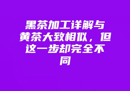 黑茶加工详解与黄茶大致相似，但这一步却完全不同