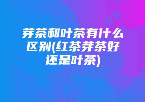 芽茶和叶茶有什么区别(红茶芽茶好还是叶茶)