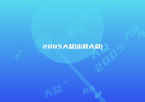2005大益(山韵大益)