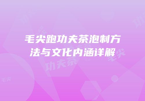 毛尖跑功夫茶泡制方法与文化内涵详解