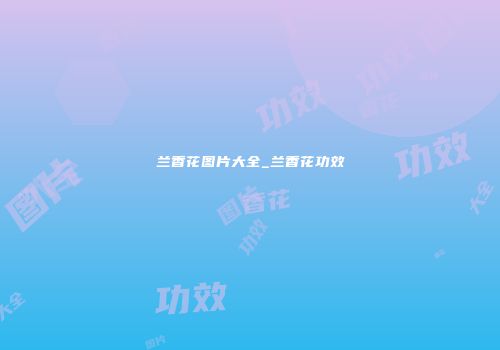 兰香花图片大全_兰香花功效