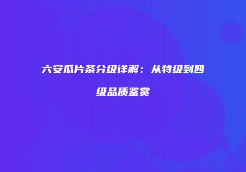 六安瓜片茶分级详解：从特级到四级品质鉴赏