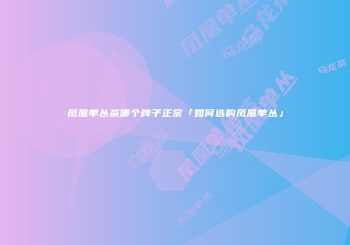 凤凰单丛茶哪个牌子正宗「如何选购凤凰单丛」