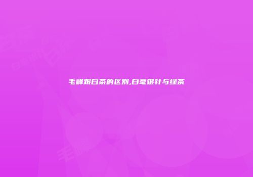 毛峰跟白茶的区别,白毫银针与绿茶