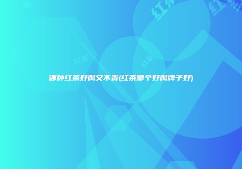 哪种红茶好喝又不贵(红茶哪个好喝牌子好)