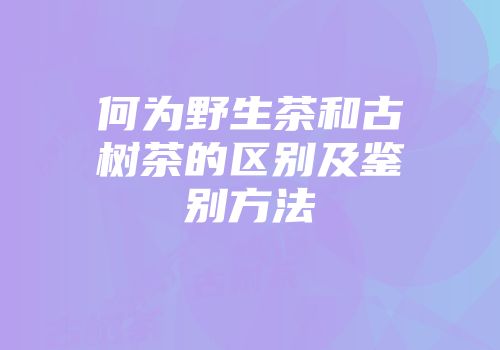 何为野生茶和古树茶的区别及鉴别方法