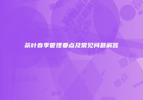 茶叶春季管理要点及常见问题解答