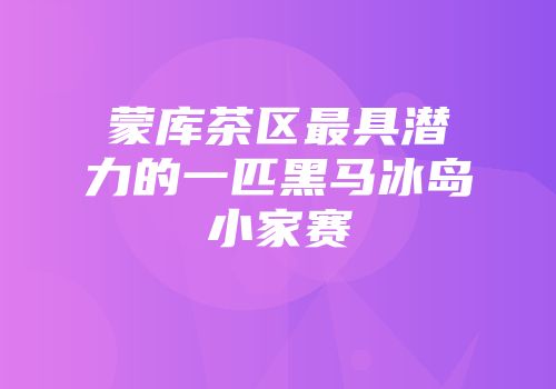 蒙库茶区最具潜力的一匹黑马冰岛小家赛
