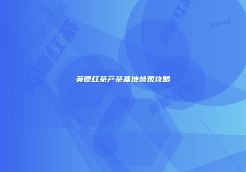 英德红茶产茶基地参观攻略