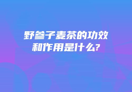 野参子麦茶的功效和作用是什么?